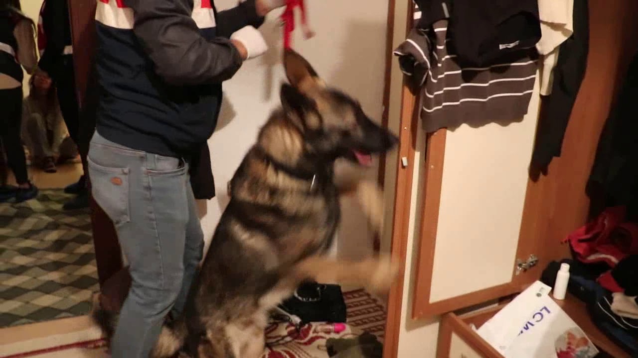 Jandarma PKK/PYD Sözde Müsteşarını ve Medya Koordinatörünü Mersin’de Operasyonla Yakaladı