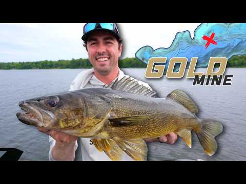 I Struck GOLD on a NEW Walleye Lake