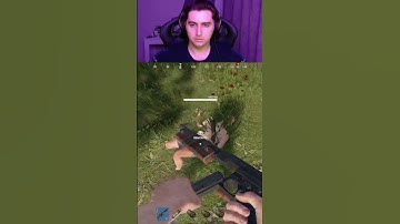 ШЛИ ПО СВОИМ ДЕЛАМ #shorts #rust #rustshorts #раст #yotubeshorts #live #rusty #Nozeril #gaming