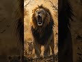 बिल्ली चिता   ka new AI generator video 📷 #cat #lion #cartoonart #memes #hd