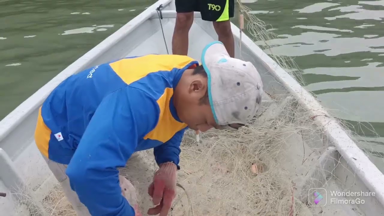 Tegar jaring 7 dan 5 inci.Alhamdulillah sekor ikan kurau/benong.3.8 kg Lobster