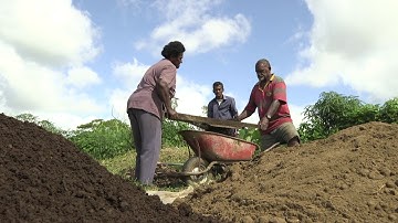 EU-SPC IKSA Project (Sugar Projects): High Quality Seed Raising Mix