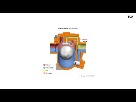 Vidéo: Piège à vapeur. Principe de fonctionnement d'un purgeur de vapeur