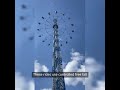 "Gravity Unleashed: The Surprising Truth Behind Free Falling Objects! 🌍⚡"