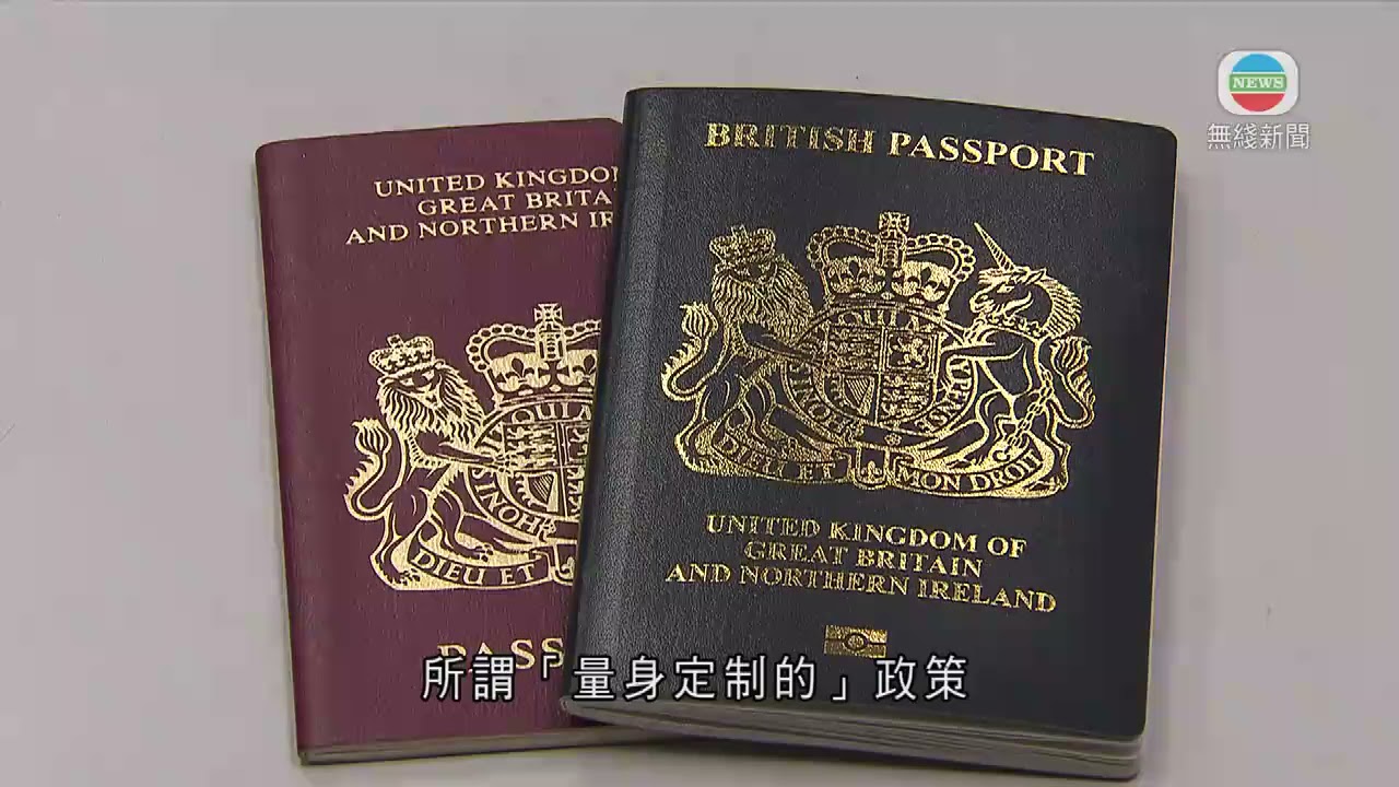 政府曾去信14國領館 促停止接受BNO申請工作假期簽證