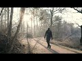 Kygo x The Chainsmokers x Calvin Harris Vibes 🌅 | Rise Again (Inspirational EDM)