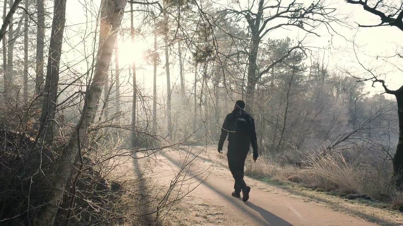 Kygo x The Chainsmokers x Calvin Harris Vibes 🌅 | Rise Again (Inspirational EDM)