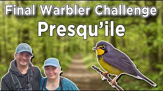 Final Warbler Challenge!  The Last 2 Warblers: Ultimate Spring Migration Finale