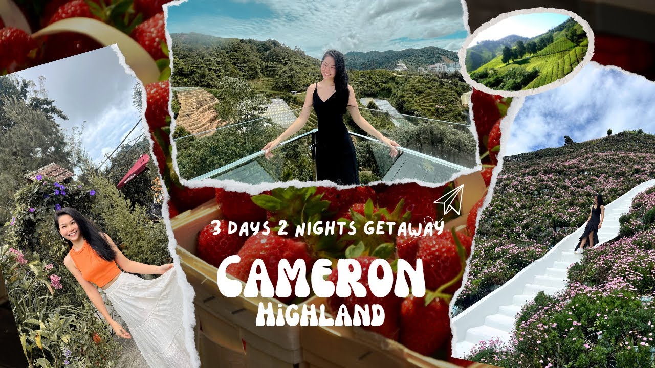 金马伦 Cameron Highland 3D2N | 介绍地点｜必去| Itenarary|踩雷|Huey Ching