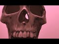 "Lies" song by Joe Riley (official music video) - RSTE/AMG/SONY - Rileywood Music Group LLC