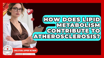 How Does Lipid Metabolism Contribute to Atherosclerosis? - Cholesterol Support Network