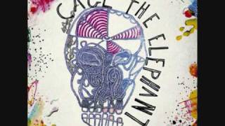 Cage The Elephant (drones in the valley)