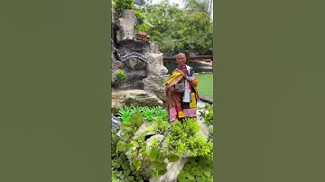 Thầy thích minh tuệ - làm tiểu cảnh hòn non bộ