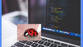 Bug Bounty for beginners with Burpsuite