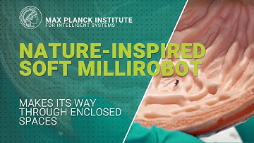 Nature-inspired soft millirobot makes its way through enclosed spaces