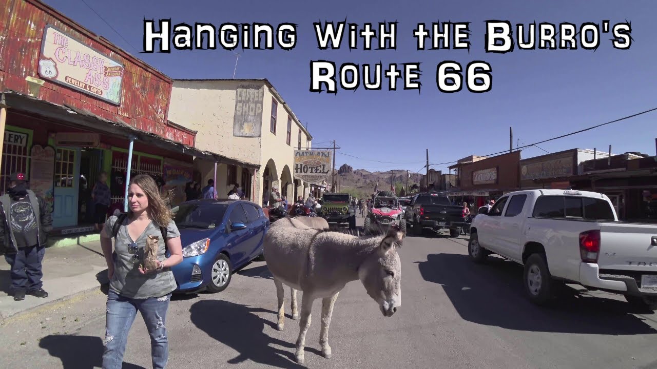 Visiting Oatman, Arizona an Old Ghost Town on Historic Route 66 Wild