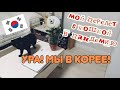 МЫ В КОРЕЕ! УРА! ОСВАИВАЕМСЯ НА НОВОМ МЕСТЕ!