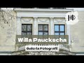 Willa Pauckscha