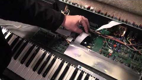 Chroma Polaris Returns! - 25