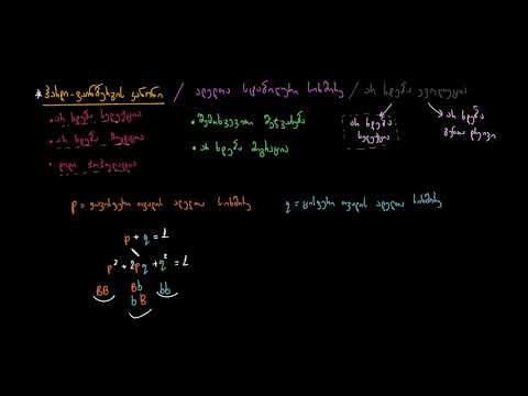 ჰარდი-ვაინბერგის პირობების განხილვა