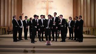Since I Fell For You | Yale Spizzwinks(?) A Cappella