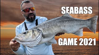 Ловля лаврака (сибаса) на спиннинг в Черном море / Black sea seabass (labrax) game