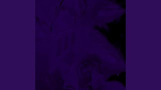 well that sucks - Slowed