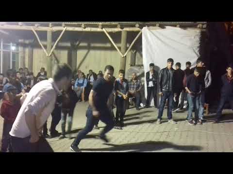 Muş hasköy karakütük