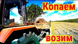 Экскаватор JCB трактор МТЗ 82.1 МТЗ 892 с прицепами ПТС 4 Копаем Возим землю #vseklevo #синийтрактор