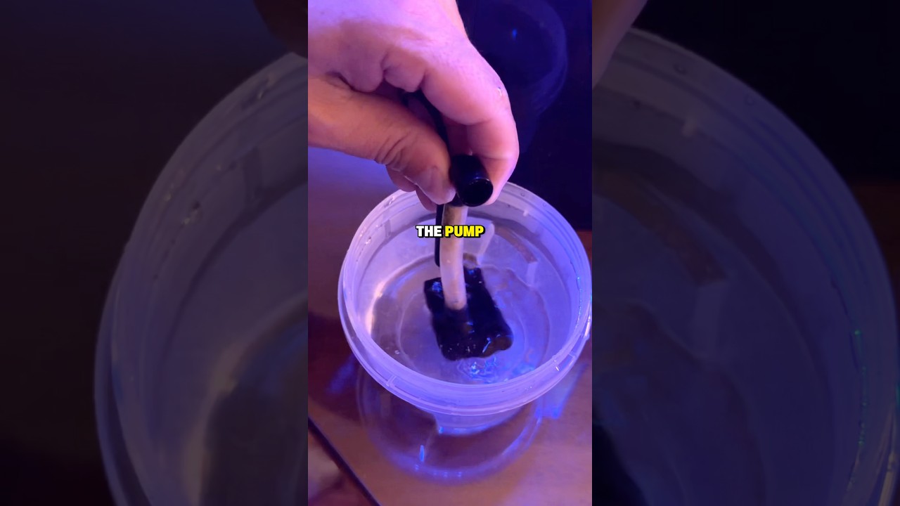 How To Clean Your Desktop Aquarium Pump #aquarium #reeftank #reef #maintenance