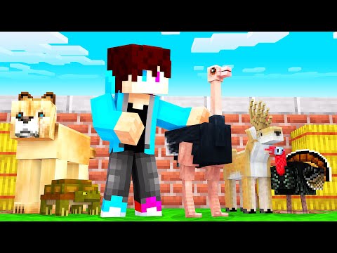 Video: Hoe Om Diere In Minecraft Te Tem: Die Dieretuin Van Die Speler