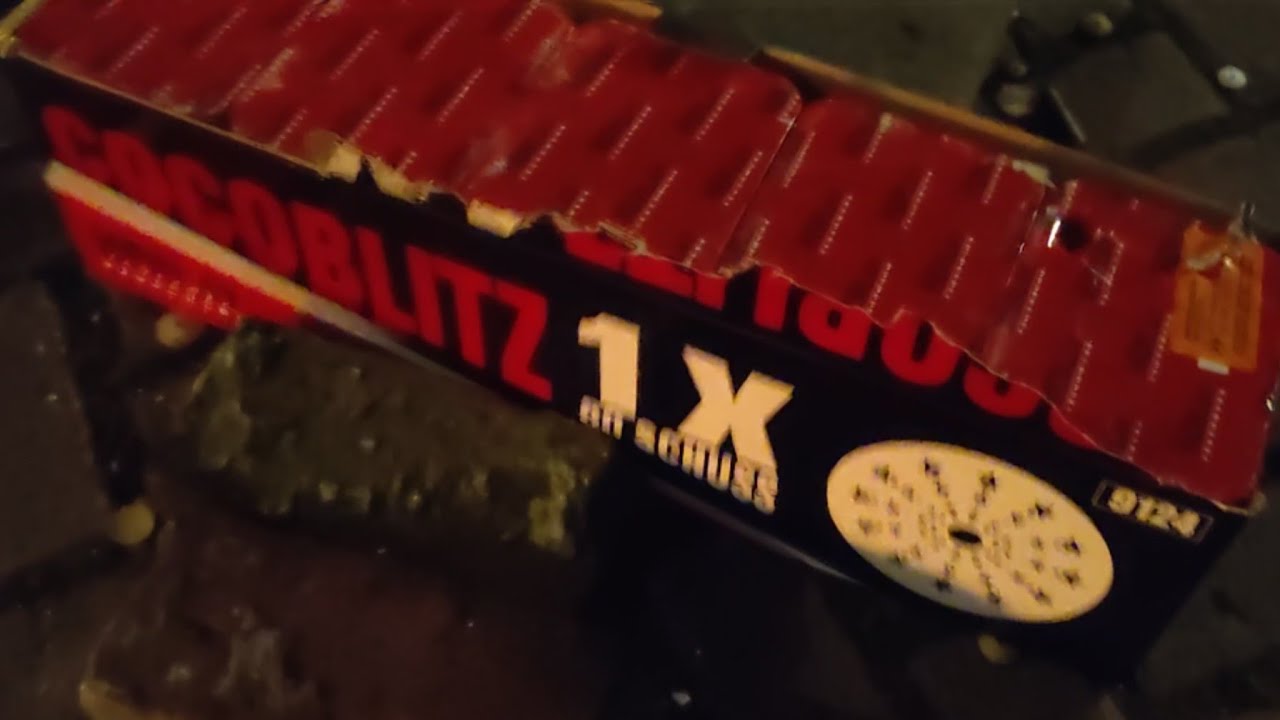 HERLAT COCOBLITZ 🔥💥 | ZENA BELGIË BAARLE HERTOG VUURWERK AFSTEKEN! 