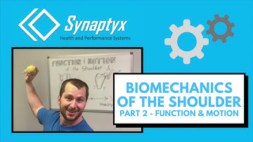 Biomechanics of the SHOULDER - Pt 2 FUNCTION and MOTION
