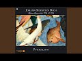 Miniature de la vidéo de la chanson Missa Brevis In G Minor, Bwv 235: Vi. Cum Sancto Spiritu