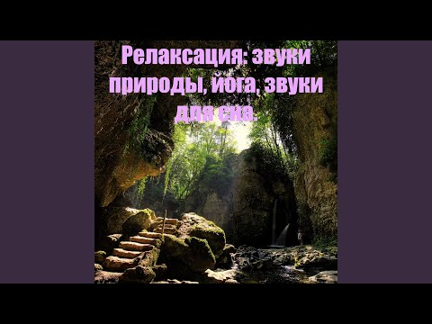 Природа - Кувшинки