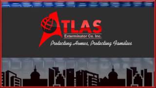 Bedbug Control | Bel Air, MD – Atlas Exterminator