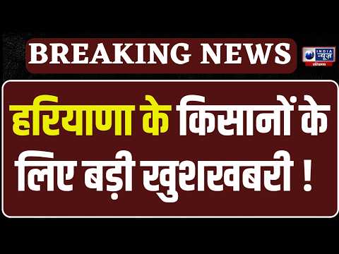 Haryana Dhan Kharid : Ambala में धान खरीद का काउंटडाउन खत्म, पोर्टल से गेट पास तक पूरी तैयारी |