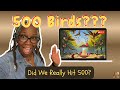 Nearly 500 Birds in One Day! | All-Day Feeder Cam Time-Lapse