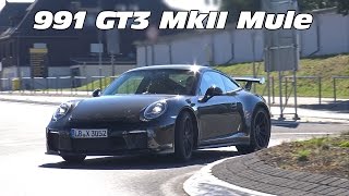 2017 Porsche 991 GT3 MKII Mule Spied on the Road!