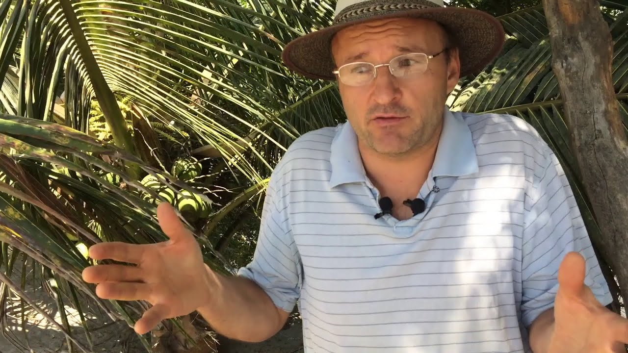 12  Александр Горбатко