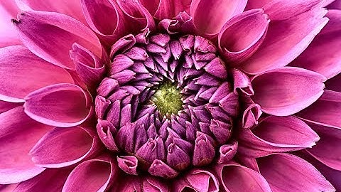 امسينا وأمسى الملك الله أذكار المساء