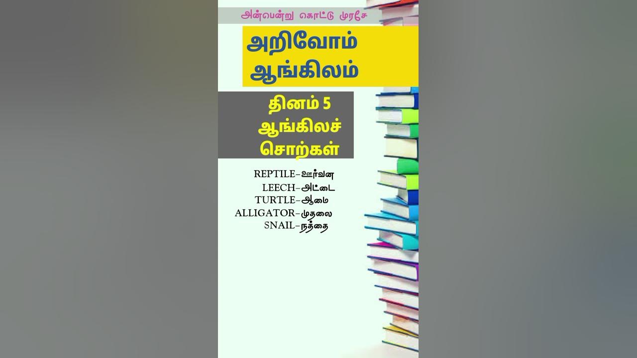 Spoken English Tamil English Words Tamil Meaning English Tamil Translation Daily