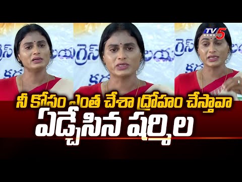 YS Sharmila Crying Infront Of Media | CM Jagan | AP Elections 2024 | YSRCP | Tv5 News - TV5NEWS