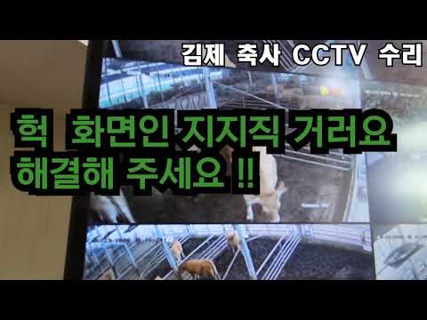 CCTV 카메라 화면 노이즈 수리 아답터 불량 (김재축사 소와 개와 사람 ) CCTV Noise