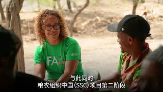 粮农组织中国南南合作项目推动小岛屿发展中国家Sids农业粮食系统转型并推进全球重要农业文化遗产Giahs第二阶段