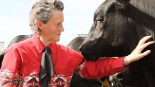 The World Needs All Kinds Of Minds: An Interview with Dr. Temple Grandin
