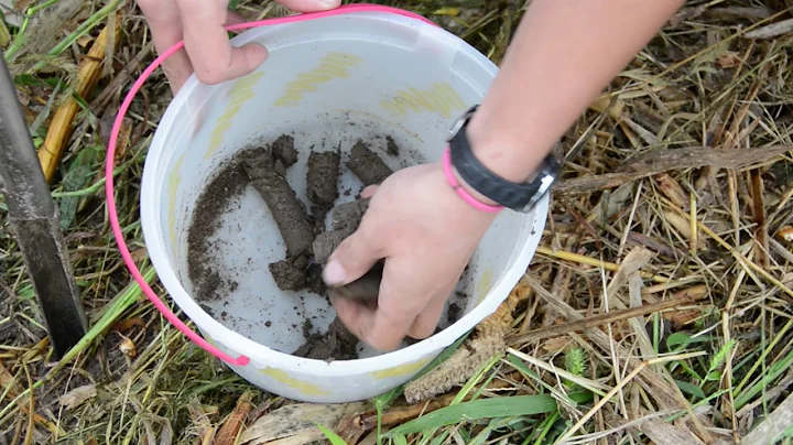 A Love of Soil Science: Meet Elyssa McFarland, Soi...