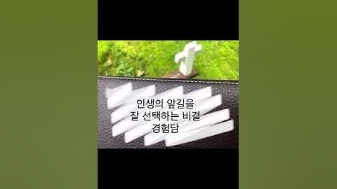 인생 잘 사는 비결/앞 길 선택의 갈림길에서 어떻게 해야 잘 하는 것인가?