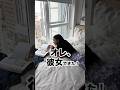 ロサンゼルスのルームメイトに彼女できたと言ったら… #ロサンゼルス #アメリカ生活 #英会話 #ルームメイト