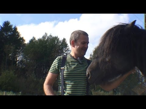 Gestaltterapi #2 Om å akseptere det som er